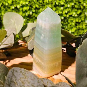 Caribbean Calcite tower